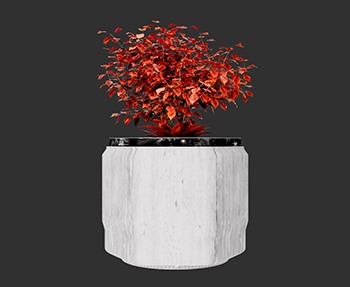 盆栽植物SketchUp草图大师SU模型下载0146