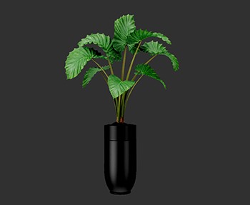 盆栽植物SketchUp草图大师SU模型下载0152