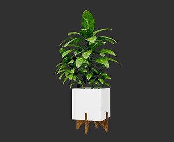 盆栽植物SketchUp草图大师SU模型下载0155