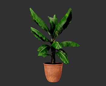 盆栽植物SketchUp草图大师SU模型下载0160