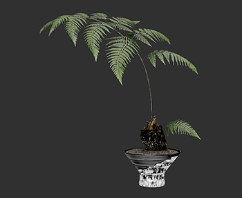 盆景植物SketchUp草图大师SU模型下载202302923