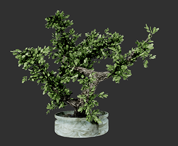 盆栽植物SketchUp草图大师SU模型下载202302925