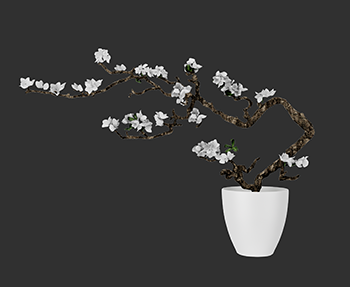 盆景植物SketchUp草图大师SU模型下载202302926