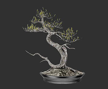 盆栽植物SketchUp草图大师SU模型下载202302933