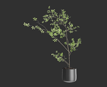 盆栽植物SketchUp草图大师SU模型下载202302939