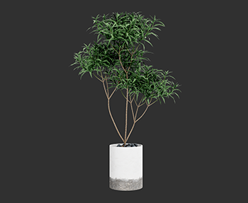 盆栽植物SketchUp草图大师SU模型下载202302946
