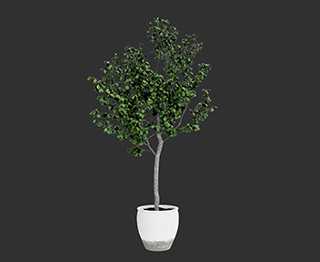 盆栽植物SketchUp草图大师SU模型下载202302947