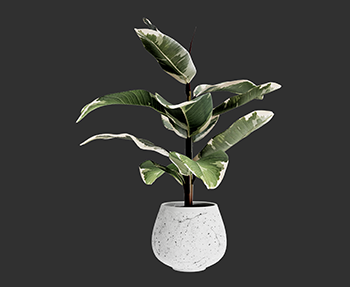 盆栽植物SketchUp草图大师SU模型下载202302950