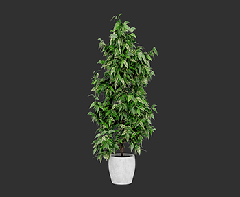 盆栽植物SketchUp草图大师SU模型下载202302953