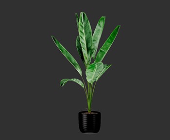 盆栽植物SketchUp草图大师SU模型下载0204