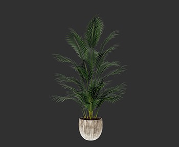 盆栽植物SketchUp草图大师SU模型下载0207