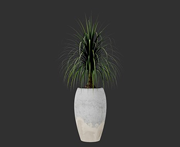 盆栽植物SketchUp草图大师SU模型下载0208