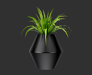 盆栽植物SketchUp草图大师SU模型下载0209