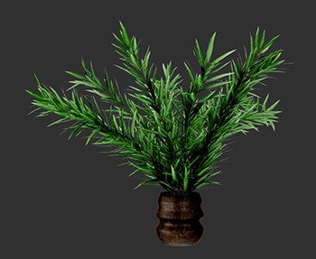 盆栽植物SketchUp草图大师SU模型下载0216