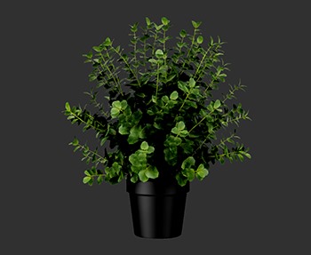 盆栽植物SketchUp草图大师SU模型下载0218
