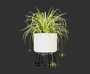 盆栽植物SketchUp草图大师SU模型下载0220