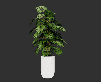 盆栽植物SketchUp草图大师SU模型下载202303004