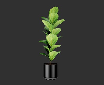 盆栽植物SketchUp草图大师SU模型下载0222