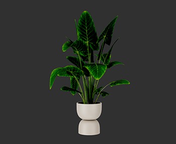 盆栽植物SketchUp草图大师SU模型下载0223