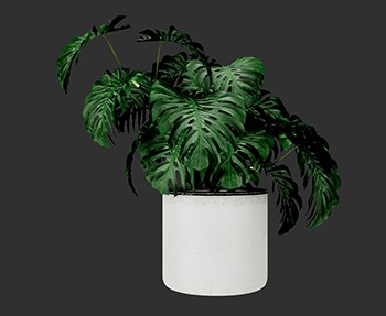 盆栽植物SketchUp草图大师SU模型下载0229