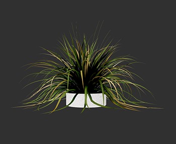 盆栽植物SketchUp草图大师SU模型下载0230