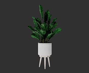 盆栽植物SketchUp草图大师SU模型下载0233