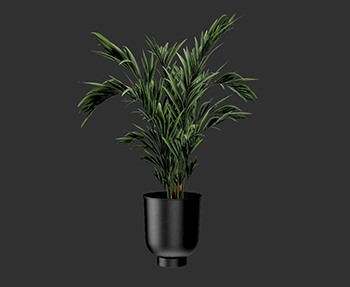 盆栽植物SketchUp草图大师SU模型下载0235