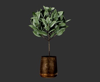 盆栽植物SketchUp草图大师SU模型下载0237