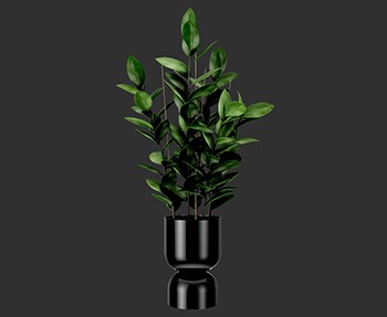 盆栽植物SketchUp草图大师SU模型下载0241