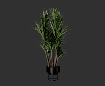 盆栽植物SketchUp草图大师SU模型下载0242