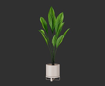 盆栽植物SketchUp草图大师SU模型下载0243