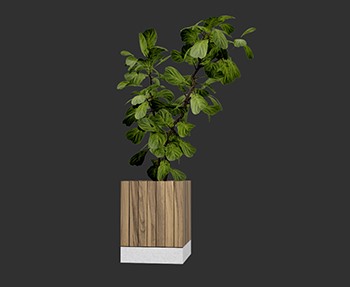 盆栽植物SketchUp草图大师SU模型下载0245