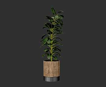 盆栽植物SketchUp草图大师SU模型下载0247