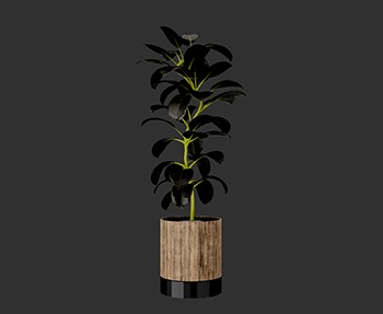 盆栽植物SketchUp草图大师SU模型下载0251