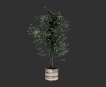 盆栽植物SketchUp草图大师SU模型下载0257