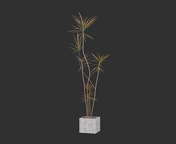 盆栽植物SketchUp草图大师SU模型下载0258