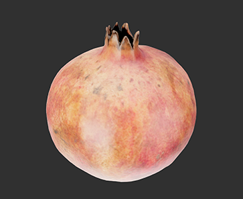 蔬菜水果SketchUp草图大师SU模型下载202302423