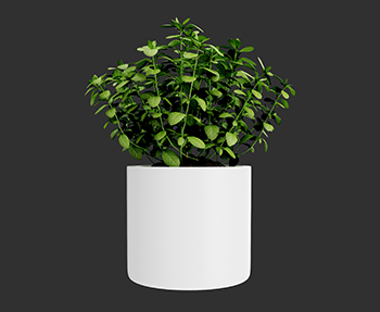 盆栽植物SketchUp草图大师SU模型下载202305837