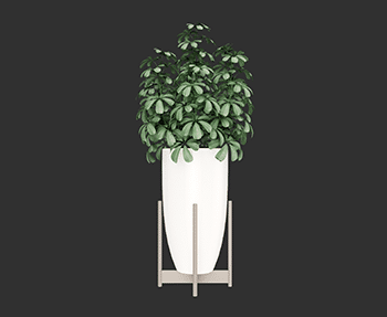 盆栽植物SketchUp草图大师SU模型下载202408175