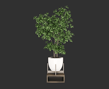 盆栽植物SketchUp草图大师SU模型下载202408177