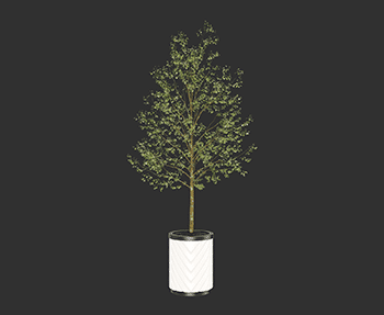 盆栽植物SketchUp草图大师SU模型下载202408180