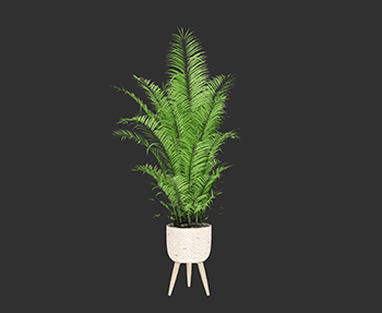 盆栽植物SketchUp草图大师SU模型下载202408182