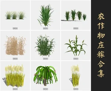 0281农作物庄稼SU模型SketchUp草图大师模型下载