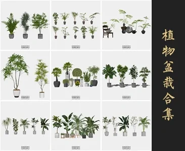 0299植物盆栽SU模型SketchUp草图大师模型下载