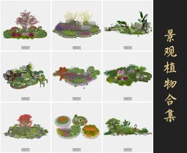 0337景观植物SU模型SketchUp草图大师模型下载