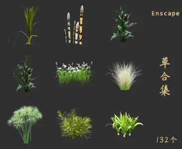 植物草SU草图大师sketchup模型免费下载T061