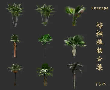 植物棕榈植物SU草图大师sketchup模型免费下载T069