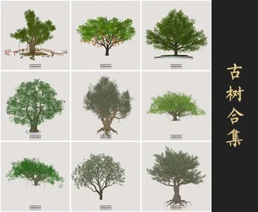0343古树SU模型SketchUp草图大师模型下载