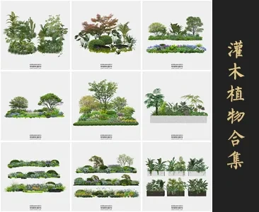0345灌木丛SU模型SketchUp草图大师模型下载