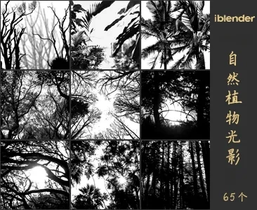 023自然植物光影Blender灯光资产库